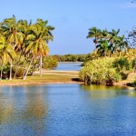 Fairchild Tropical Botanical Garden Fairchild Tropical Botanical Garden
