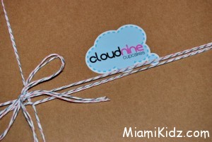 CloudNine Cupcakes